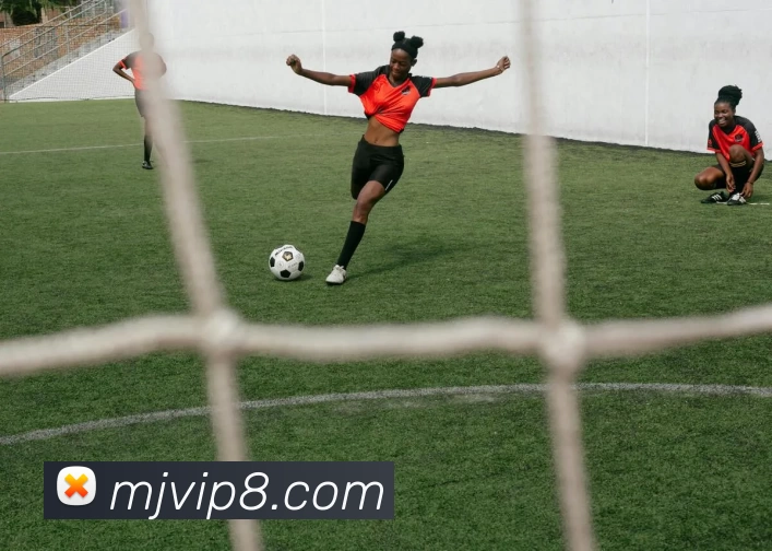 摩杰娱乐官网服务体系